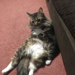 Meet your Posher, Bryan